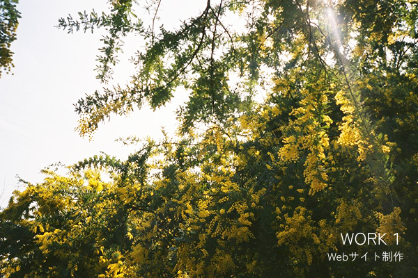 WORK1リンクボタン