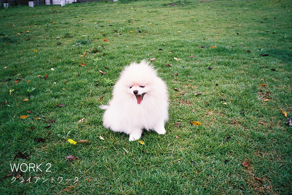 WORK2リンクボタン